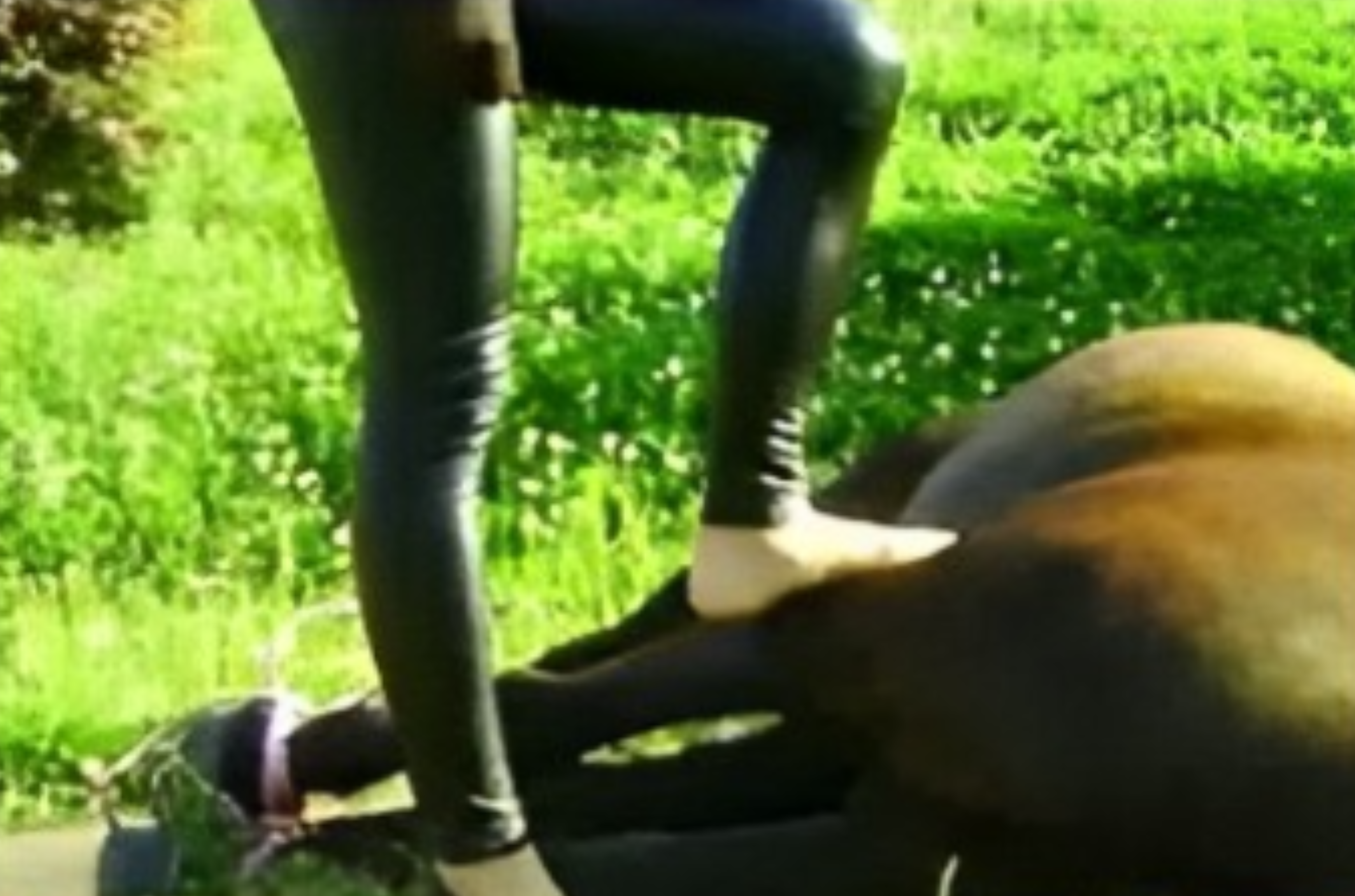 /wp-content/uploads/2023/03/png-2.png 1280w, wp-content/uploads/2023/03/png-2-500x281.png 500w, wp-content/uploads/2023/03/png-2-1024x576.png 1024w, wp-content/uploads/2023/03/png-2-768x432.png 768w